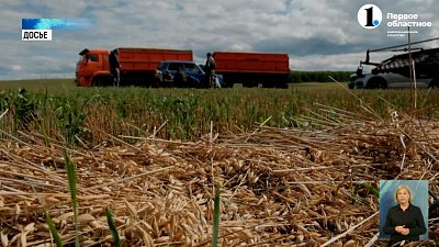 Алексей Текслер поручил сконцентрировать силы для успешного завершения уборочной кампании