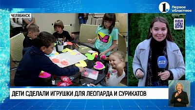 Дети сделали игрушки для леопарда и сурикатов