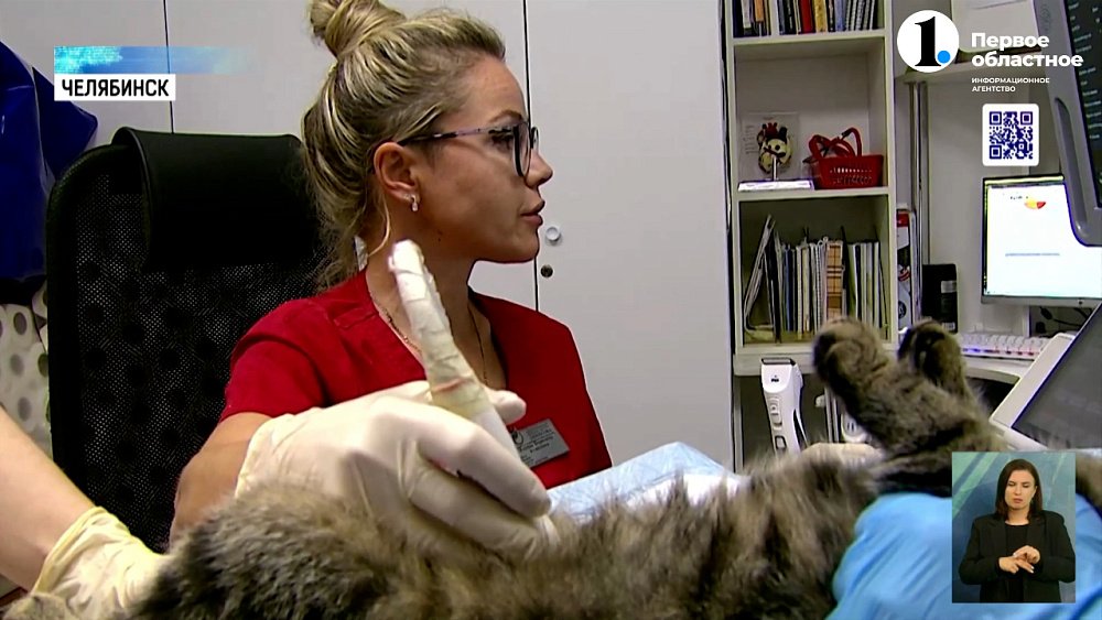 Ветеринарные лекарства пропадают с российских витрин