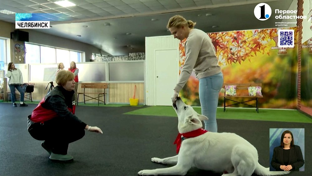 Челябинские кинологи объясняют, как воспитать послушную собаку