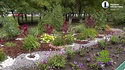 Терапевтические сады