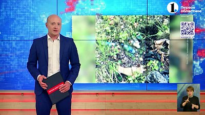 Грибники нашли в лесу ртуть