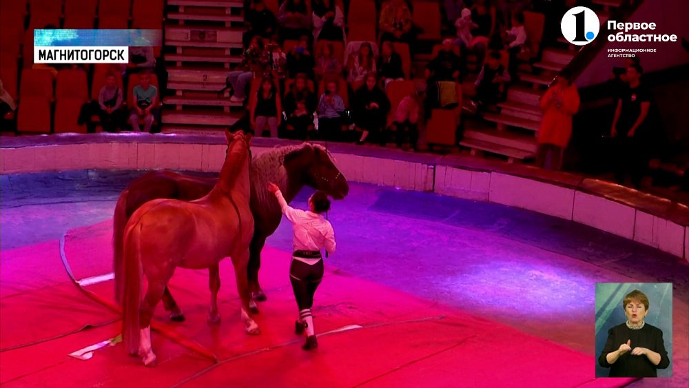 В Магнитогорском цирке провели мастер-класс для детей