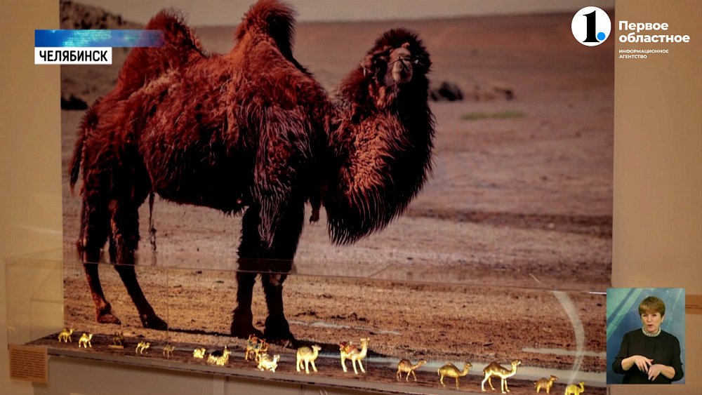 В историческом музее Южного Урала отрылась выставка «Караван спешит в Челябинск»