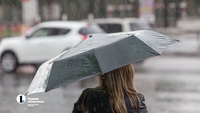 Ливни и сильный ветер обещают синоптики в Челябинской области