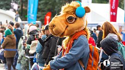 Челябинский марафон — 2023 собрал 4000 участников