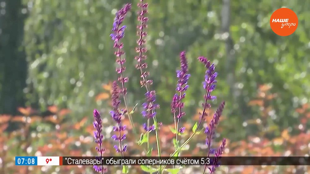 Внимательно осмотрим корни в рубрике «Руки садовода»