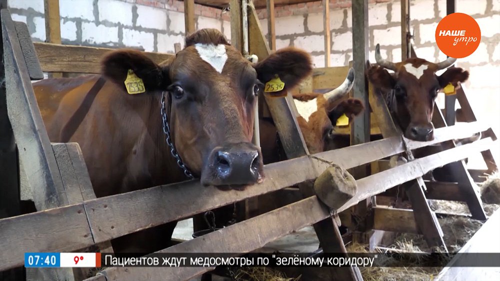 Агротур в деревню Кораблёво в рубрике «Из города — в деревню»