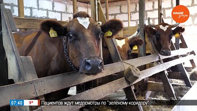 Агротур в деревню Кораблёво в рубрике «Из города — в деревню»