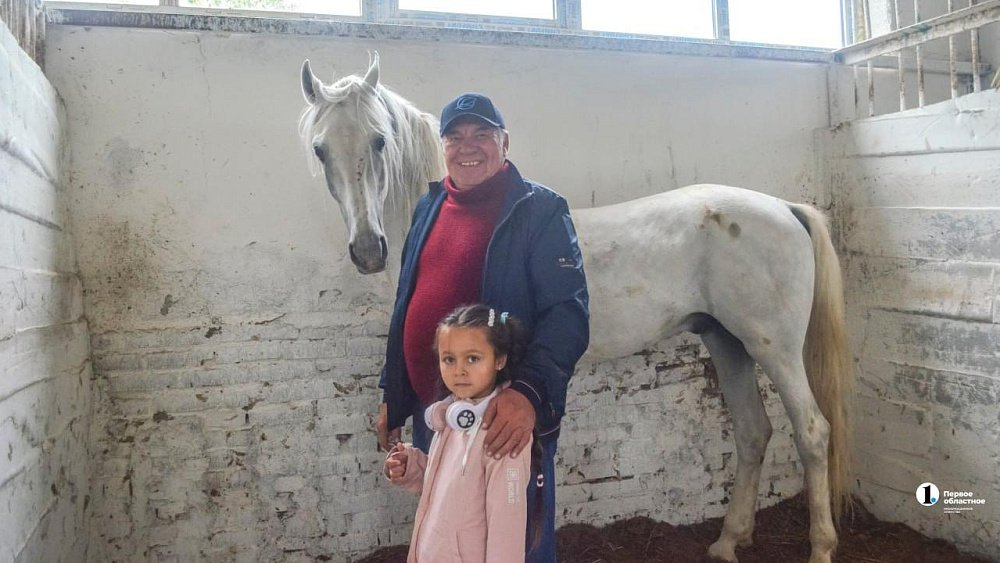 Лошади как судьба: кони и пони южноуральского фермера