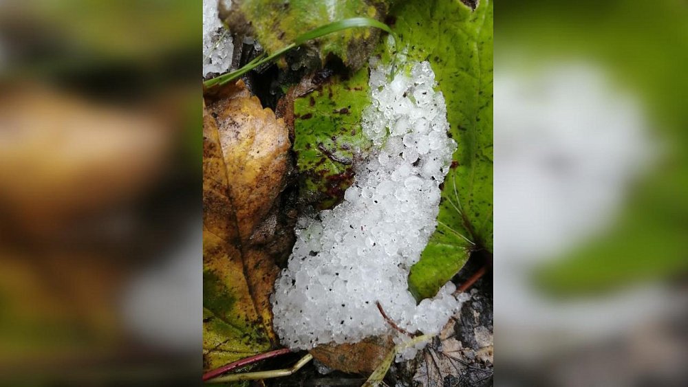 На вершинах Зигальги в Челябинской области выпал первый снег