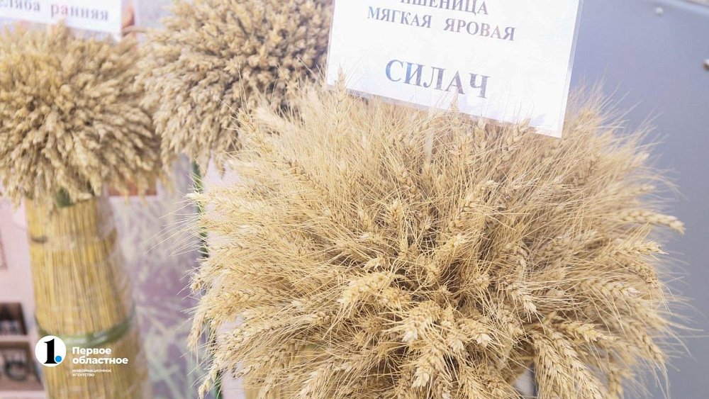 В Челябинске пройдет межрегиональная агровыставка УрФО