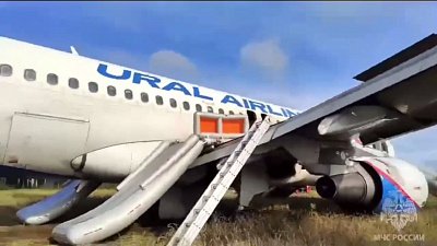 Самолет «Уральских авиалиний» совершил экстренную посадку в Новосибирской области