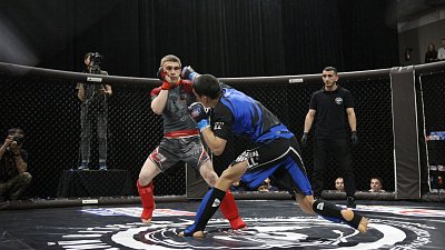 В Челябинске пройдет Кубок Законодательного собрания по ММА