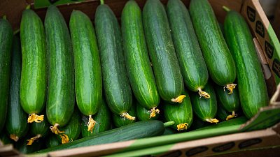 Челябинцы летом интересовались сапбордами, самоварами и огурцами