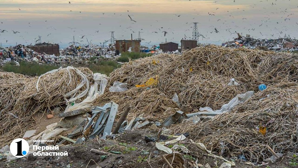 В Челябинской области до 1 ноября расчистят более двухсот стихийных свалок мусора