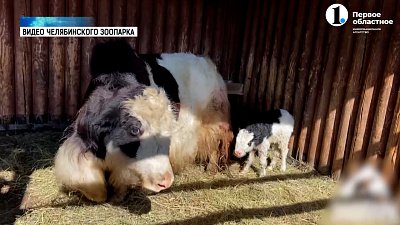 Зоопарку — 27 лет