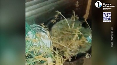 Полицейские задержали наркодилера