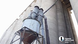 Аграрии Челябинской области столкнулись с пшеничной аномалией при сборе урожая