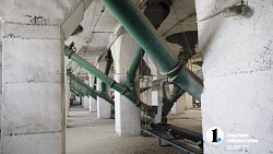 Аграрии Челябинской области столкнулись с пшеничной аномалией при сборе урожая