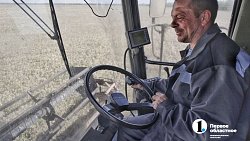 Аграрии Челябинской области столкнулись с пшеничной аномалией при сборе урожая