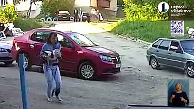 В Миассе собака напала на женщину