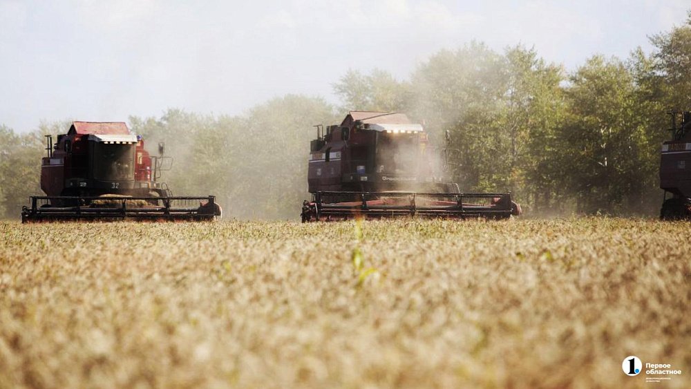 На Урале собрали почти 2,5 миллиона тонн зерна