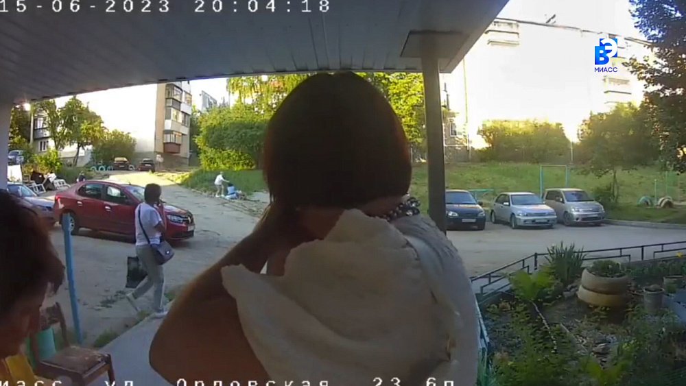 Бойцовская собака напала на жительницу Миасса