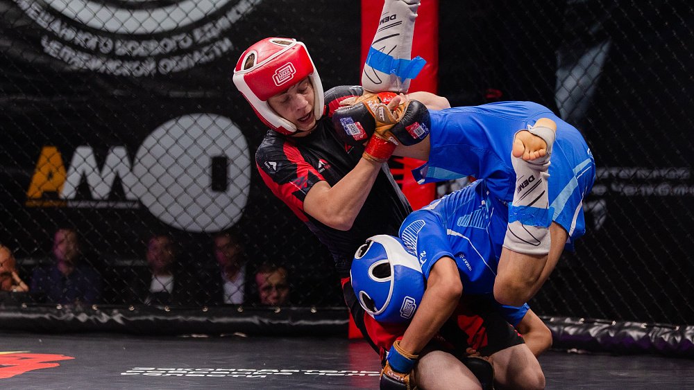 В Челябинске подвели итоги Кубка Законодательного собрания по ММА