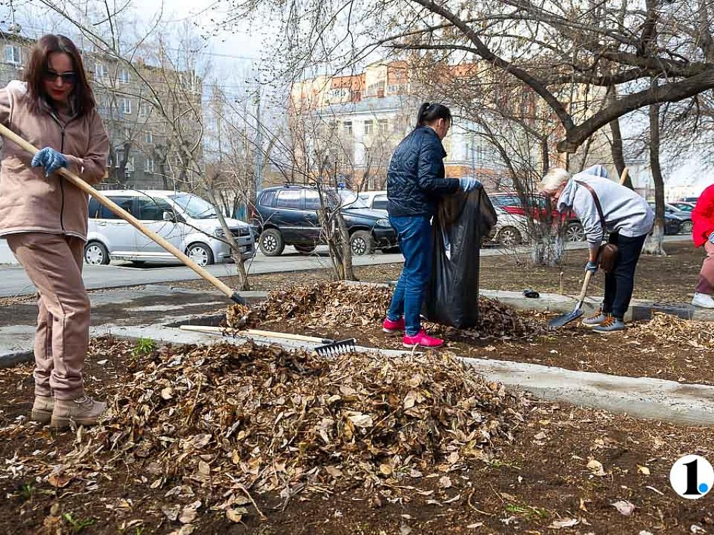 Вывоз листьев. Вывоз листьев