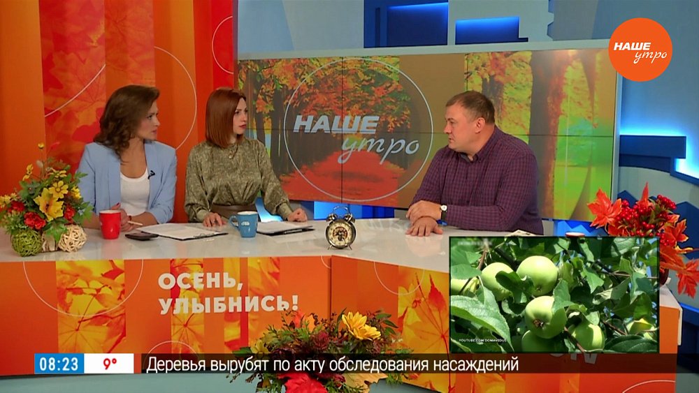 Осень – время сбора урожая – Гость в студии