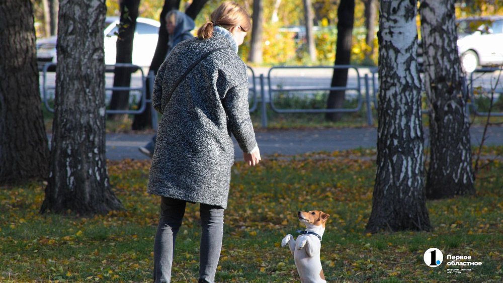 20-градусный перепад температур обещают жителям Челябинской области