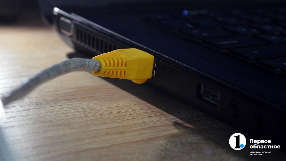 В Челябинской области задержали хакера, взломавшего интернет-кабинеты физлиц и госучреждений