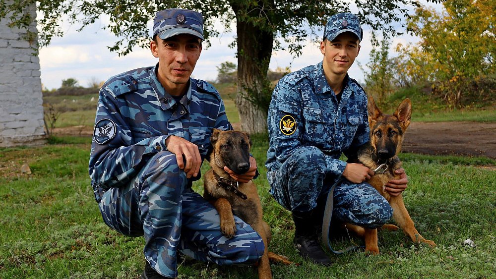 В Челябинской области на службу в тюрьму и СИЗО отправили шесть щенков
