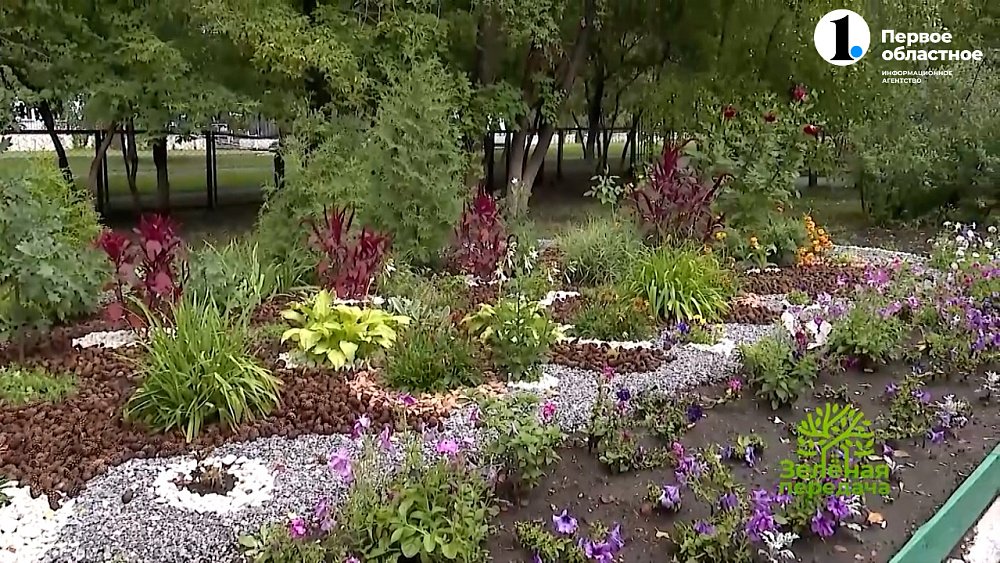 Каждой школе и садику – яркие клумбы