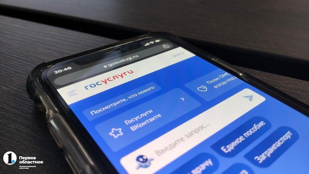 В Челябинской области закончилось голосование по выбору малых сел, где появится связь