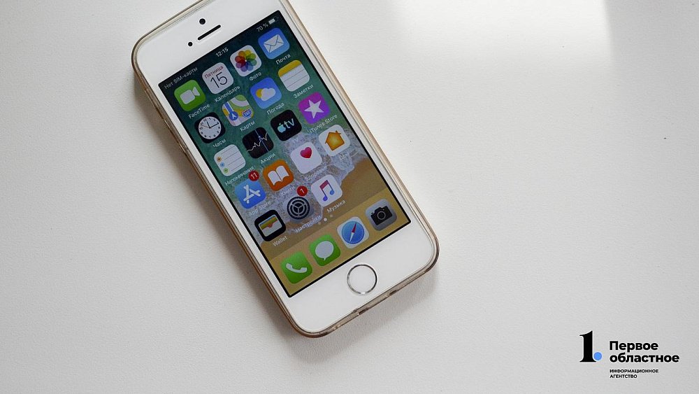 С начала года жители Челябинской области перевели мошенникам 1,3 млрд рублей