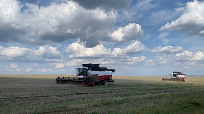 Ученые ЮУрГУ анонсировали разработку по использованию пророщенного зерна