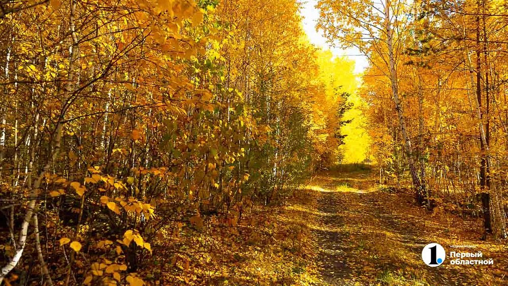 Теплая погода с порывистым ветром ожидается в Челябинской области