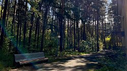 Южноуральские пенсионеры восстанавливаются после болезней в сердце Каштакского бора