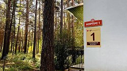 Южноуральские пенсионеры восстанавливаются после болезней в сердце Каштакского бора