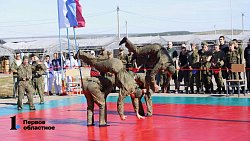 Фестиваль «Броня Танкограда» под Чебаркулем собрал восемь тысяч зрителей