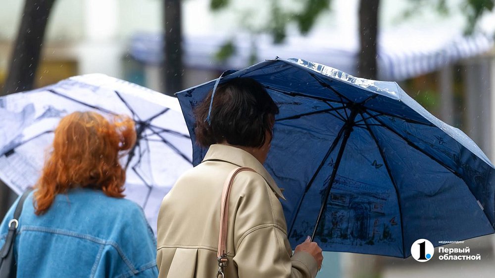 В Челябинске синоптики обещают дождь и +20 градусов