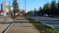 На улице Дарвина в Челябинске высадят шесть тысяч кустов кизильника