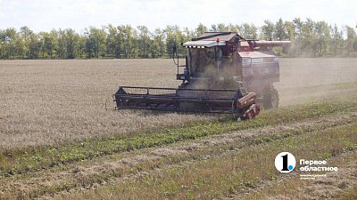 Уральские аграрии собрали более половины урожая зерновых
