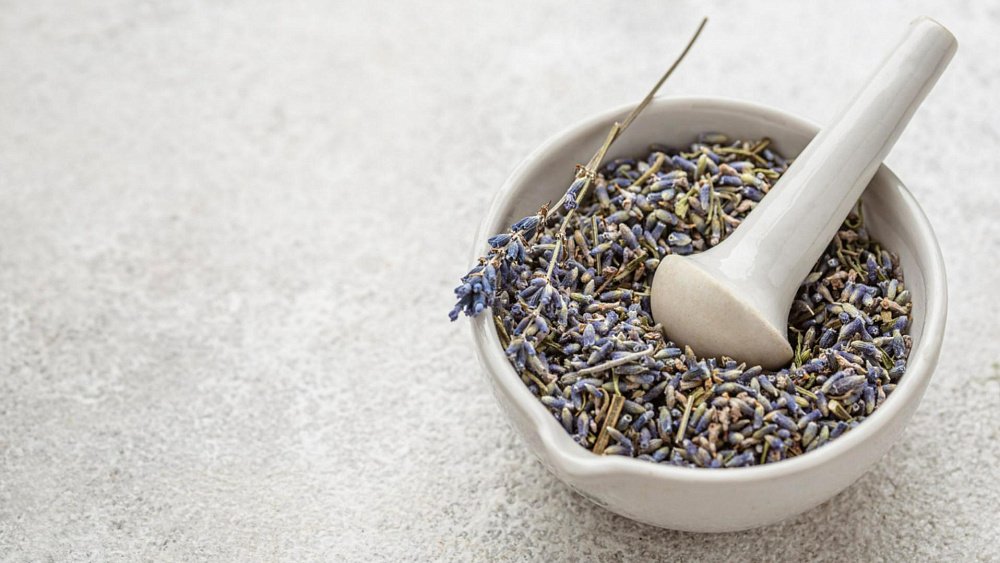 Лавандовый чай прогонит тревожность и улучшит сон