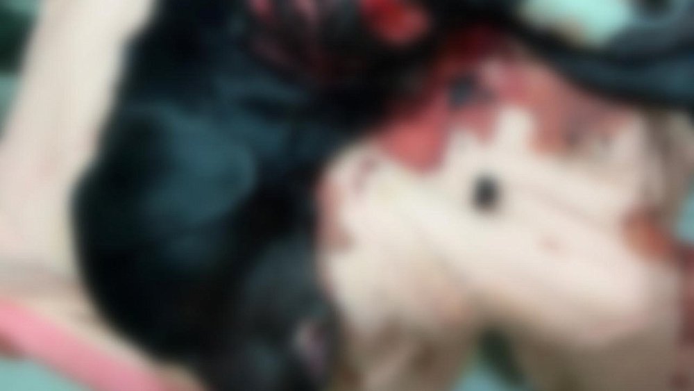 В Челябинске сделали операцию собаке, изрезанной триммером