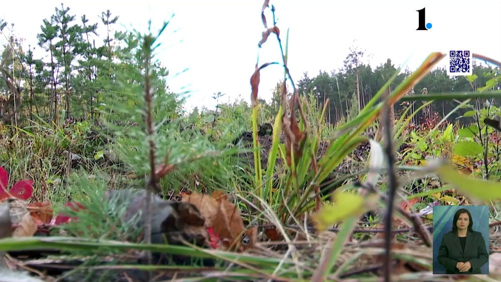 На Южном Урале стартовала Всероссийская экологическая акция «Сохраним лес»