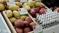 В Челябинск на межрегиональную выставку приехали сельхозпроизводители УрФО