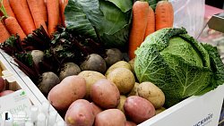 В Челябинск на межрегиональную выставку приехали сельхозпроизводители УрФО